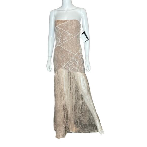 Retrofete Strapless Lace Dress in Blush - Picture 2 of 11